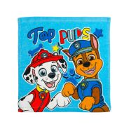 Paw Patrol Face Cloth