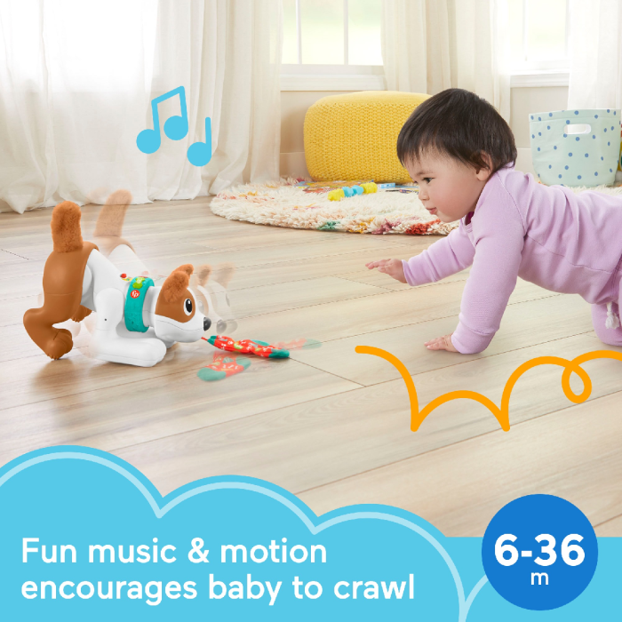 Buy the 123 Crawl With Me Puppy Infant Learning Toy from Babies-R-Us Online  | Babies R Us Online